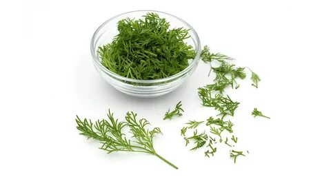 فروش شوید برگ